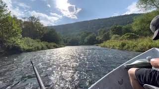 Fly Fishing the Catskill Mountains [upl. by Daph]