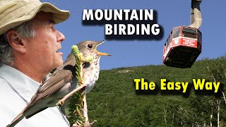 BIRDING on Mountaintops the EASY Way [upl. by Deehsar]