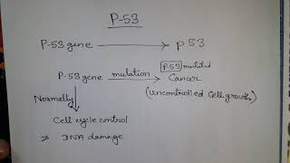 P53 protein control cell cycle mutation in it cause cancer [upl. by Malinin660]