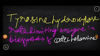 TYROSINE HYDROXYLASE rate limiting enzyme in synthesis of catecholamines [upl. by Malia]