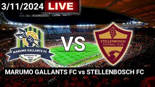 Marumo Gallants FC vs Stellenbosch FC Today Live match 202425 [upl. by Ailadi38]