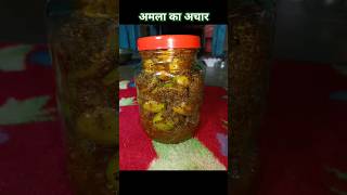 Amda ka achar shorts amla pickle recipe [upl. by Ethben]