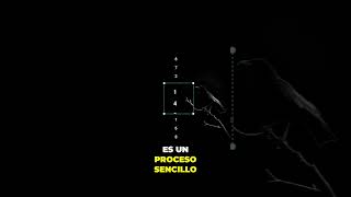 Búsqueda Secuencial en 1 Minuto 💡 [upl. by Algar]