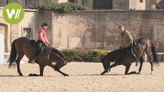 Chantilly  les plus belles écuries du monde  Mes grandes écuries [upl. by Dnumsed]