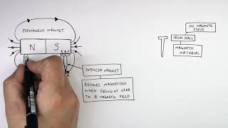 Difference Between Induced and Permanent Magnets [upl. by Sharleen]