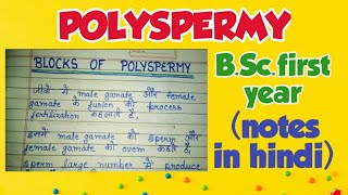 polyspermy fast and slow blocks of polyspermy in hindi [upl. by Atinod]