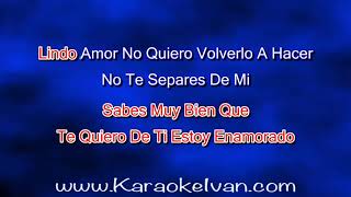 Grupo Pegasso  Lindo Amor KARAOKE [upl. by Thorr]