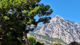 Beldibi Kemer Walk [upl. by Archer588]