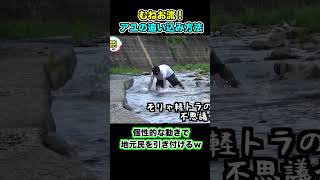 真剣に魚を追い込む姿が不思議すぎて… shorts 釣りよかでしょう 釣りよか 釣り fishing 鮎釣り 天然アユ 透明な川 [upl. by Crofton]