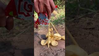 survival skill in outdoors 🌳🔥 camping survival bushcraft amazing outfitideas lifehacks [upl. by Santa]