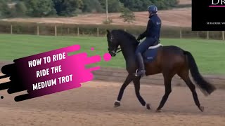 How To Ride The Medium Trot In Dressage [upl. by Esilram]