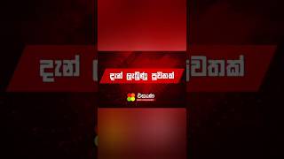 news bbc tv breakingnews දිවයින පුරා සුරාසැල් සියල්ල වසා දැමේ 📢📢📢 trending [upl. by Cummins]