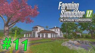 FS17 CACAO MERAVIGLIAO N11 SEMINATRICE DA MAIS [upl. by Salkin]