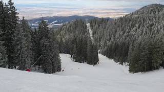 Sulinar Ski Slope medium level Poiana Brasov Romania February 2020 [upl. by Gristede]