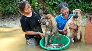 Harvesting fish fingerlings from large ponds and bring them home to raise  Chúc Tòn Bình [upl. by Niboc]