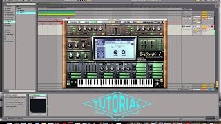 PSYTRANCE ARP TUTORIAL Sylenth1 [upl. by Ecienaj]