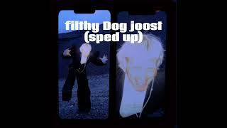 joost klein filthy dog speed up [upl. by Spearing]