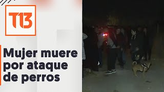 Mujer murió atacada por una jauría de perros en Buin [upl. by Wilde]