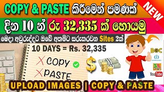 Copy and Paste earn 1094 with in 10 Days e commerce Sinhala SL TUTY [upl. by Palmore]