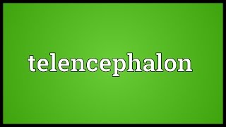 Telencephalon Meaning [upl. by Hyland545]