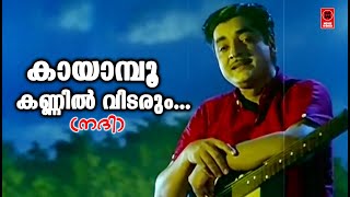 Kayampoo Kannil Vidarum  Nadhi1969  KJ Yesudas  Vayalar ramavarma  G Devarajan  Movie Song [upl. by Alasdair]