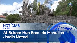 AiSukaer Hun Boot Ida Monu Iha Jardin Motael [upl. by Eelsel]