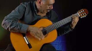 Amalio Burguet Flamenco Guitar [upl. by Ayarahs440]