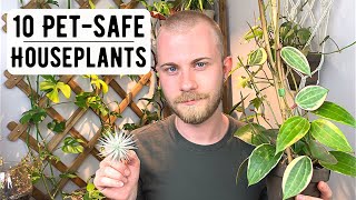 10 Interesting NonToxic Houseplants [upl. by Seedman346]