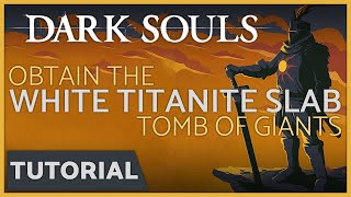 Dark Souls  How to get the White Titanite Slab from the Tomb of Giants [upl. by Azrim324]