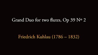 Grand Duo for Two Flutes Op 39 No 2 in Bb by Friedrich Kuhlau played by Fran and Keith Griffin [upl. by Urian]