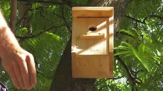 Instalación de cajas nido para el fomento de la biodiversidad en el huerto ecológico [upl. by Coppock488]