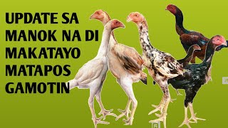 gamot sa manok na dimasyadong makatayo at na lompo panoorin mo to para matoto [upl. by Nomzed]