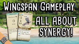 Wingspan Gameplay  All about synergy [upl. by Anaillil442]