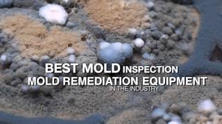 Mold Certification Training Mold Inspection [upl. by Atirak]