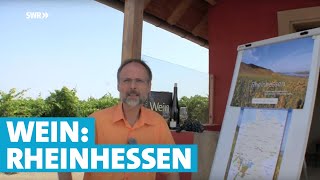 Werner erklärt Wein Rheinhessen [upl. by Ancilin]