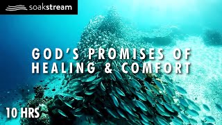 Gods Promises of Healing amp Comfort  10 Hour Scripture Soaking With Gods Word [upl. by Gio282]