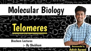 Telomere amp Telomerase  Molecular Biology  Biochemistry lectures [upl. by Leonardo377]