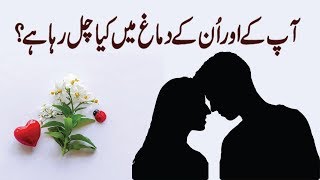 Who Has You in Their Mind  Love Personality Test  in Urdu amp Hindi [upl. by Egief]