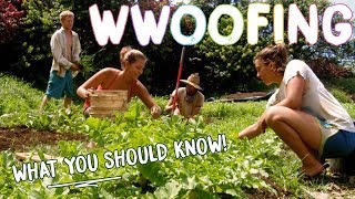 HOW TO WWOOF FOR BEGINNERS  THE BASICS FOR WORK  CHEAP TRAVEL [upl. by Roxanna]