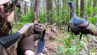 PA OPENING DAY GOBBLER in the TIMBER [upl. by Otreblig]