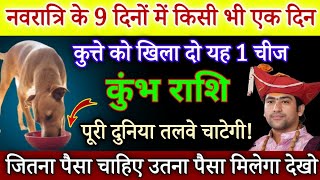 कुंभ राशि वालों नवरात्रि में किसी भी दिन कुत्ते को खिला दे यह 1 चीज ज़िंदगी बदल जाएगी  kumbh rashi [upl. by Egres39]