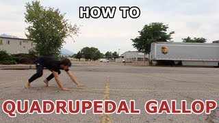 How to QUADRUPEDAL GALLOP beginner parkour tutorial [upl. by Fisk923]