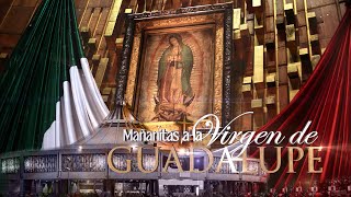 MAÑANITAS A LA VIRGEN DE GUADALUPE 2024  ANESMA TV [upl. by Idnim178]