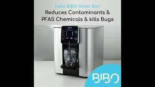 BIBO Water Bar  Water Dispenser Reducing Contaminants amp PFAS Chemicals [upl. by Onilegna]