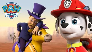 ¡La Patrulla de Cachorros salva a Humdinger del Rodeo  PAW Patrol Español  Patrulla de Cachorros [upl. by O'Donnell907]