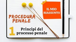 Procedura Penale  Capitolo 1 principi del processo penale [upl. by Redford645]