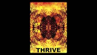 Blacktop Mojo  Thrive [upl. by Odrautse]