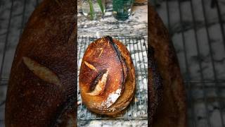 Baking a fresh loaf of rye sourdough bread This recipe is truly delicious 🥰 sourdough [upl. by Aihpled]