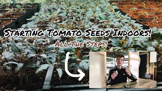 Starting Tomato Seeds Indoors What To Do For Maximum Success [upl. by Rosina]