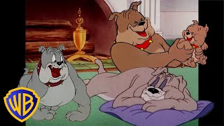 Tom amp Jerry  Best of Spike 🐶  Classic Cartoon Compilation  wbkids​ [upl. by Healion842]